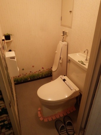 IMGP3177-e1717390730369